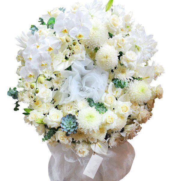 Nỗi Buồn Dịu Dàng - Hoa Sài Gòn