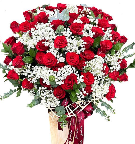 Nơi Mình Bắt Đầu