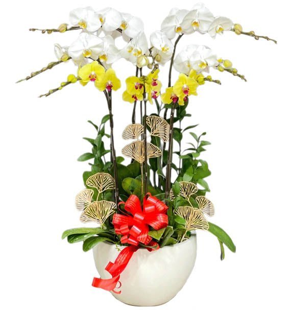 Nụ Cười Văn Phòng