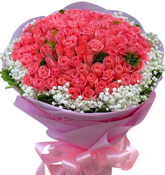 Nụ Hôn Bất Ngờ - Hoa Sài Gòn