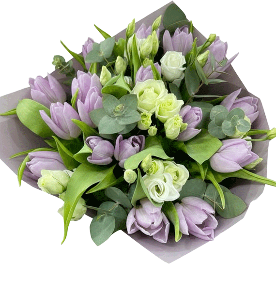 Nụ Tím Mùa Xuân