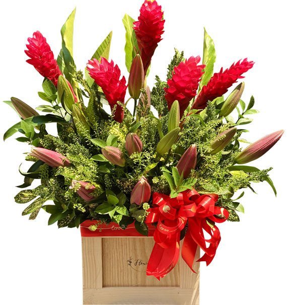 Phát Tài - Hoa Sài Gòn