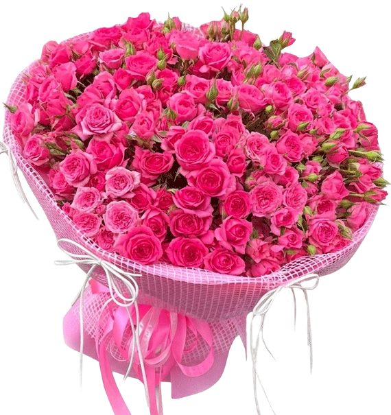 Pinky Dream