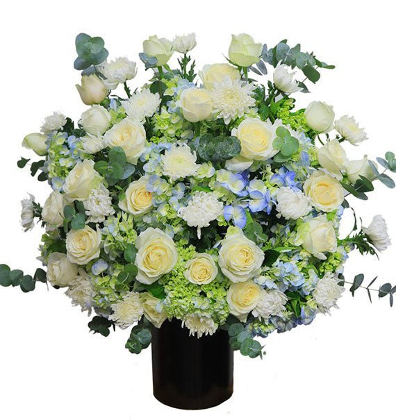 Ra Đi Khi Tuổi Đời Còn Xanh - Hoa Sài Gòn