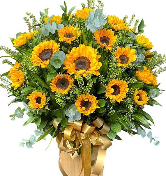 Rạng Ngời Ngày Mới