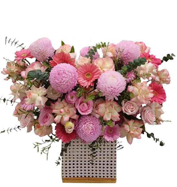 Rise Up- Hoa Sài Gòn