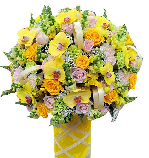 Rực Sáng - Hoa Sài Gòn