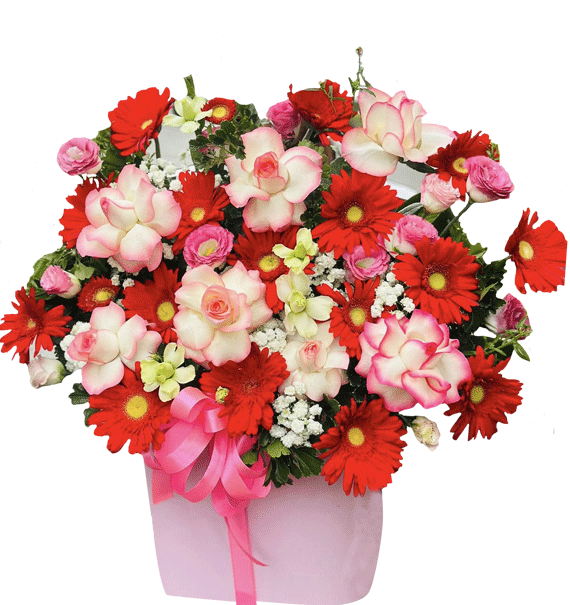 Sắc Đỏ Lời Yêu