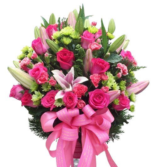 Sắc Hoa Năm Tháng