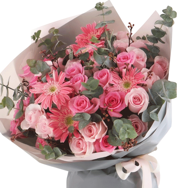 Sắc Hoa Tuổi Trẻ