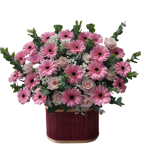 Sắc Hồng Dịu Lời Yêu