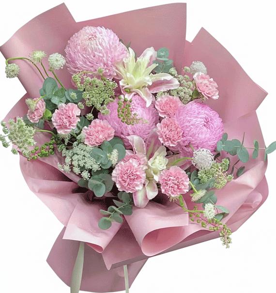 Sắc Hồng Mềm Mại