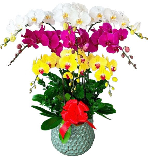 Sắc Hương Khai Lộc