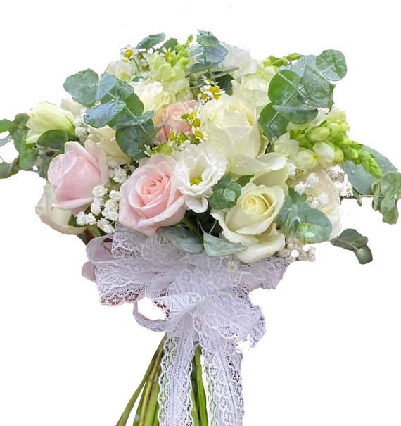 Sắc Kem Tối Giản