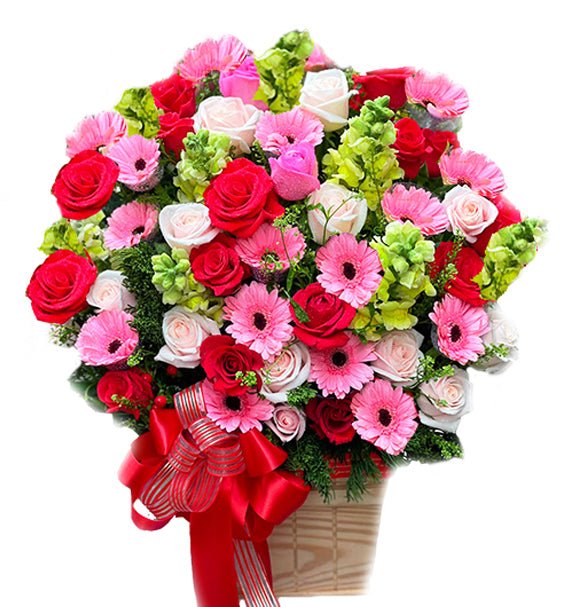 Sắc Màu - Hoa Sài Gòn