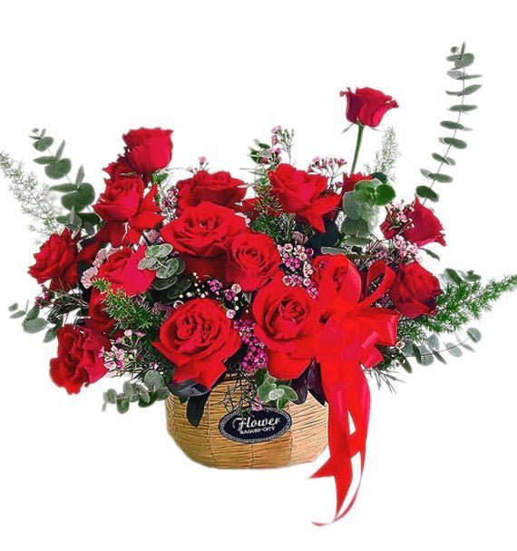 Sắc Màu Ngày Mới