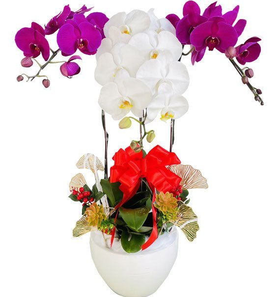 Sắc Màu Tài Lộc