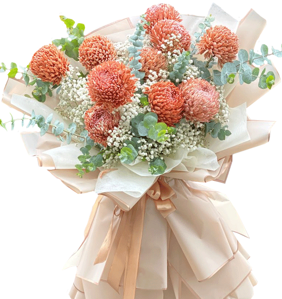 Sắc Nâu Mộc Mạc