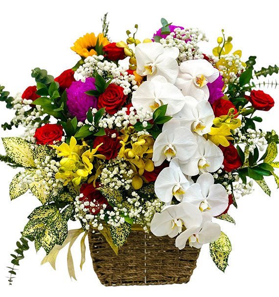 Sắc Ngọc Nhẹ Tênh