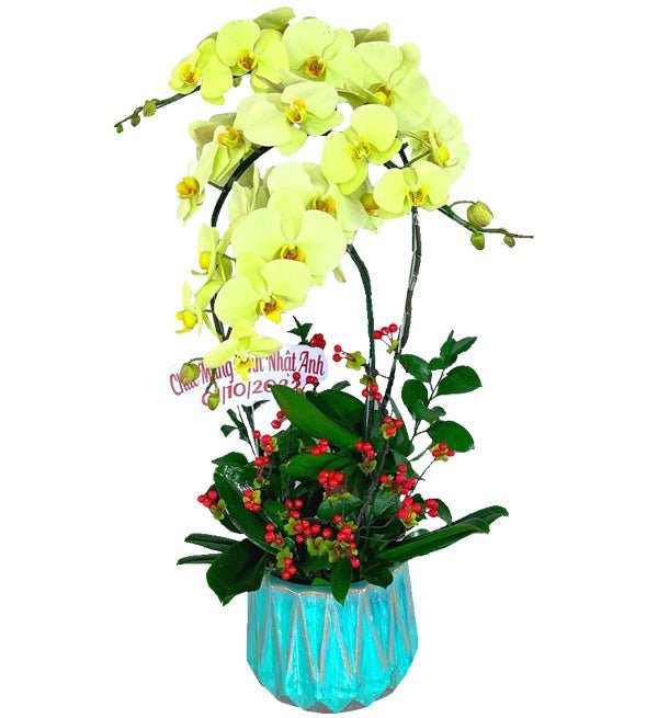 Sắc Vàng Rực Rỡ