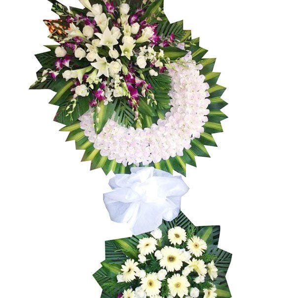 Sầu Thiên Thu - Hoa Sài Gòn