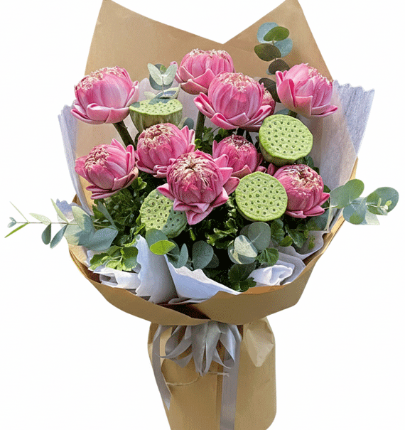 Sen Hồng Trong Nắng