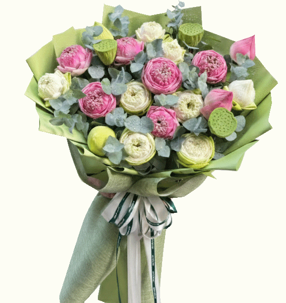 Sen Nở Giữa  An Yên