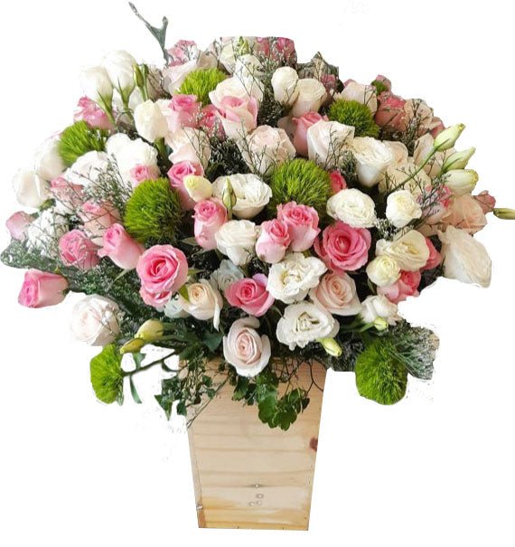 Shine On You - Hoa Sài Gòn