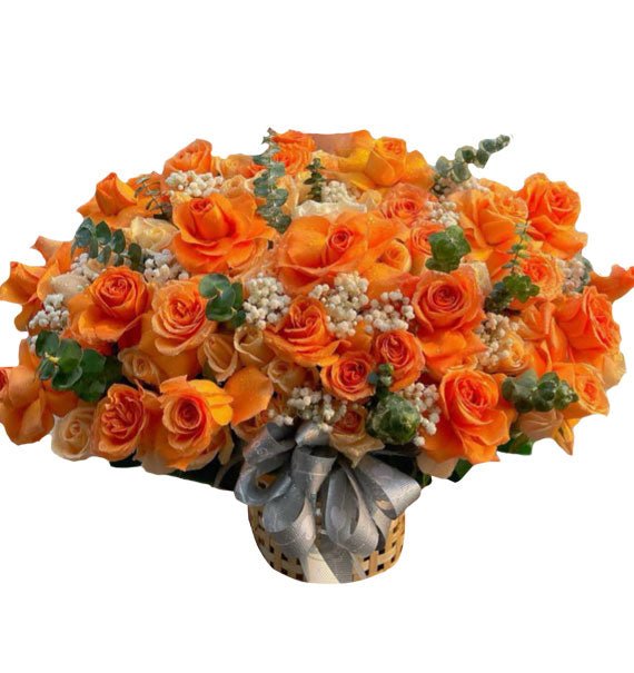 Sớm Nở Tối Phát - Hoa Sài Gòn