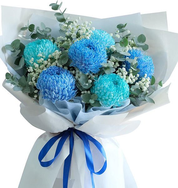 Sống Xanh Mỗi Ngày