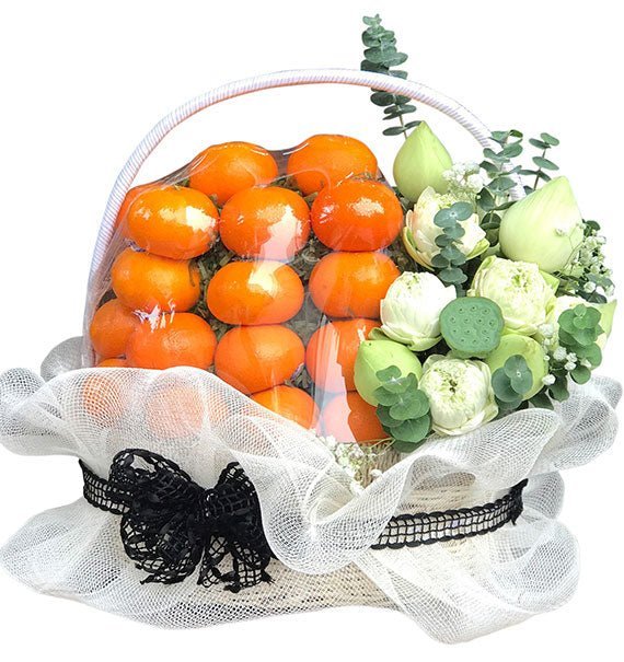 Sự An Ủi Êm Dịu - Hoa Sài Gòn