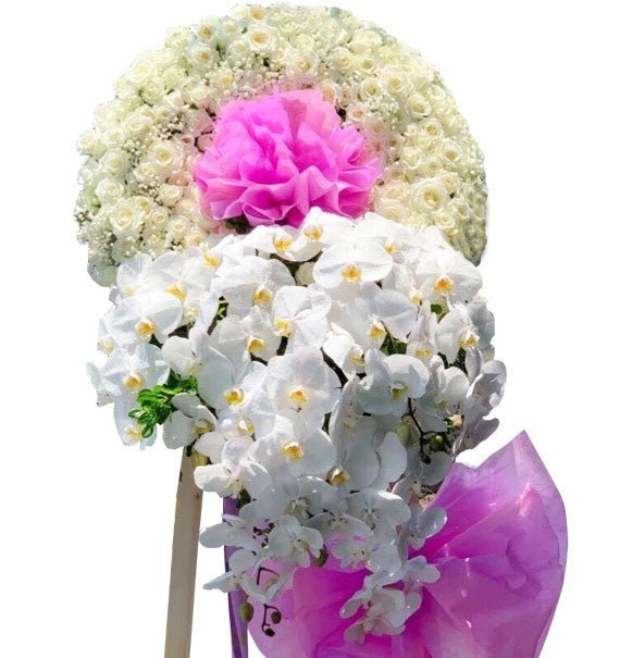 Sự Bình An - Hoa Sài Gòn