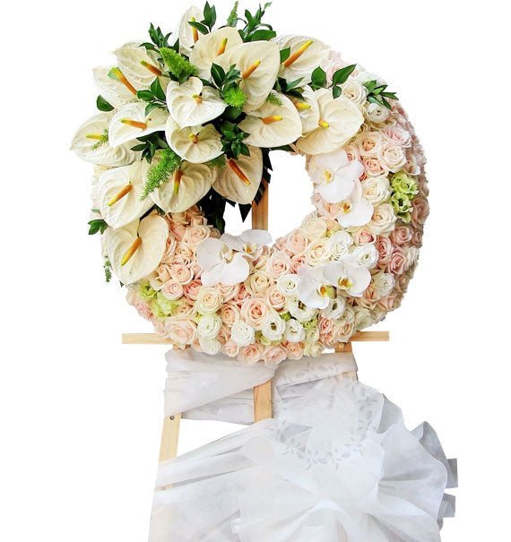 Sự Thanh Cao Và Tình Yêu - Hoa Sài Gòn