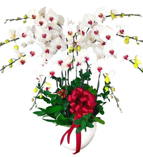 Sung Túc Vẹn Toàn