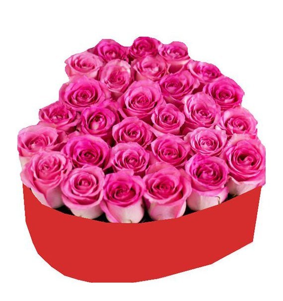 Tài Hoa Đăng Trình