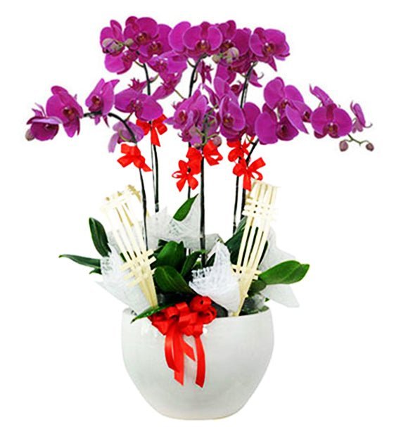 Tài Lộc Đến Mùa
