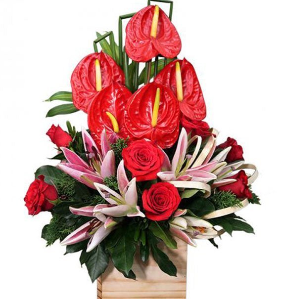 Tài Lộc Dồi Dào