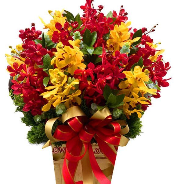 Tâm An Lộc Đến