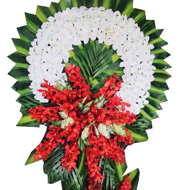 Tâm Nguyện - Hoa Sài Gòn