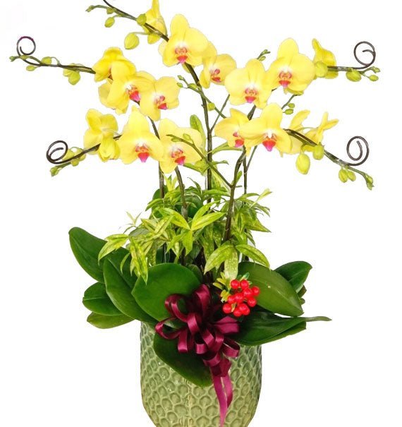 Tân Gia Cát Tường