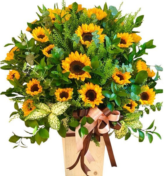 Tân Khởi Khai Sắc