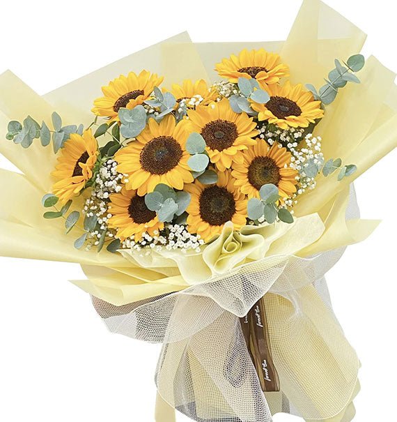 tang ban nu cuoi toa nang