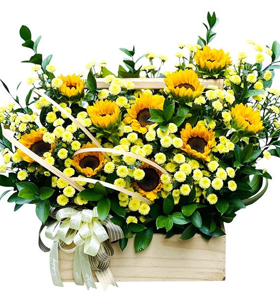 Tặng Người Lạc Quan