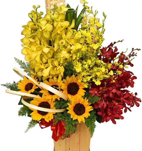 Thần Tài Cát - Hoa Sài Gòn