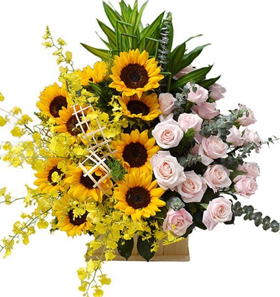 Thành Công Mỹ Mãn - Hoa Sài Gòn