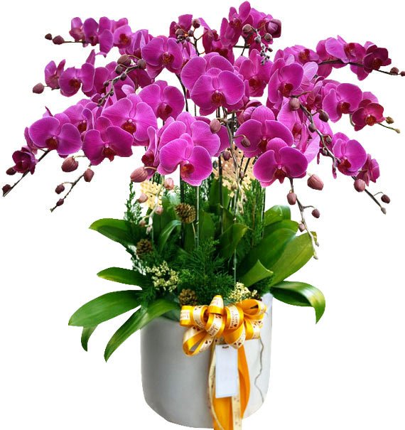 Thành Công Như Ý