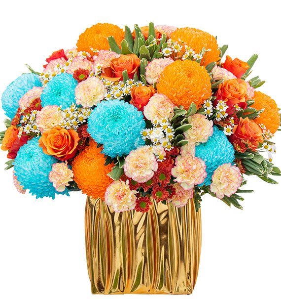 Thanh Hoa Thành Đạt