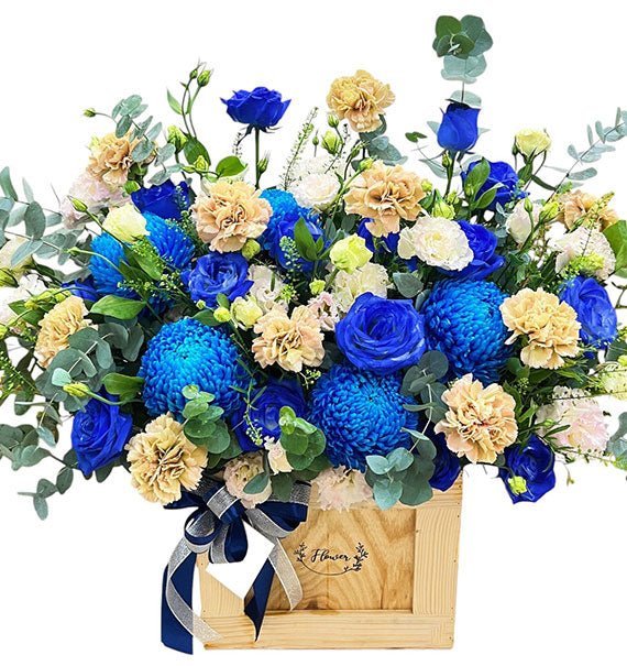 Thanh Xuân Của Cha