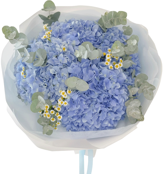 Thì Thầm Màu Biển