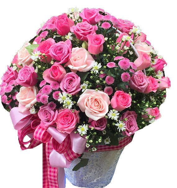 Thiên Niên Vạn Phúc - Hoa Sài Gòn